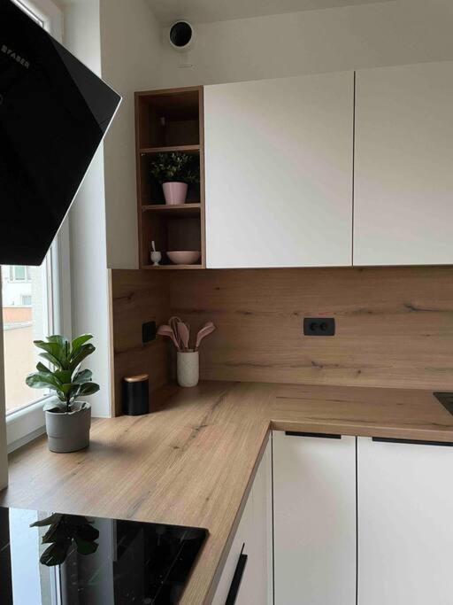 Mely Rose Apartment ลูบลิยานา ภายนอก รูปภาพ